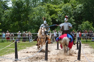 Jousting competition